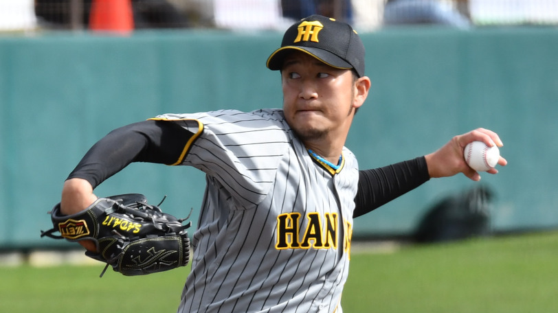 最終値下げ！ 阪神タイガース 岩貞祐太 支給品 実使用 投手用