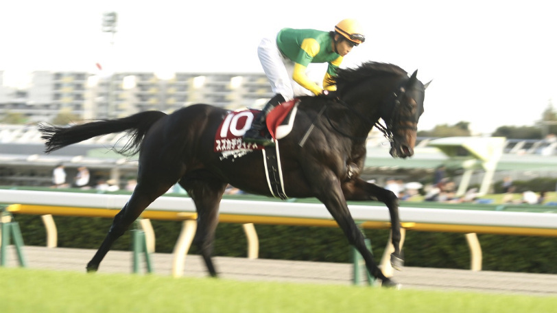 【新潟大賞典】過去10年で1番人気の連対率が10% 平成最後の重賞は5頭ボックスで勝負