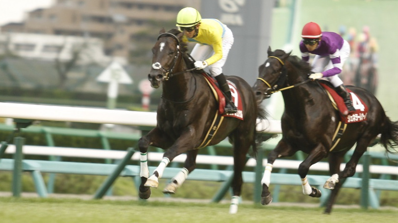 【鳴尾記念】近年のデータからは「開幕週の定説」が通用しない?