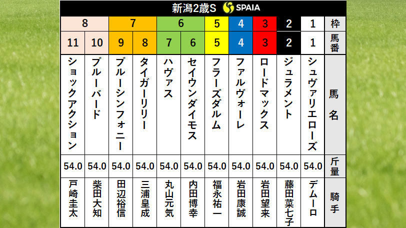 【新潟2歳S枠順】シュヴァリエローズは1枠1番、フラーズダルムは5枠5番 人気馬2頭にとって気になるデータとは?