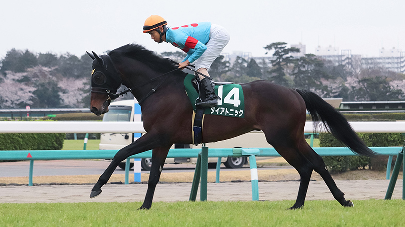 【キーンランドC】雨でダイアトニックはキケン?京大RC・SPAIA編集部のオススメの買い目は?【動画あり】