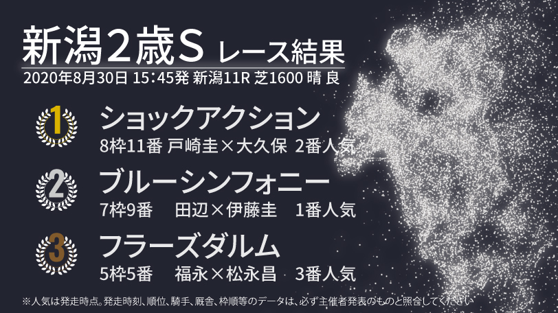 【新潟2歳S結果速報】戸崎騎手騎乗のショックアクションが勝利 2着ブルーシンフォニーでゴドルフィン決着