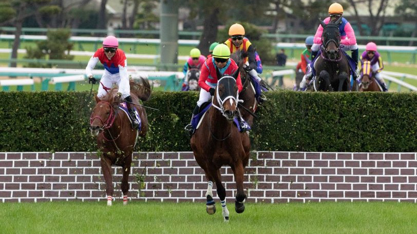 東京ハイジャンプ 約2年間馬券圏外なしの絶対軸あり データ上有利な馬は 動画あり 競馬 Ai データ分析 Spaia Ai競馬