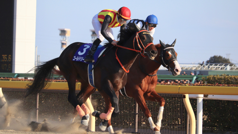 【日曜3分レース予想】チャンピオンズCは枠順に注意 SPAIA編集部の日曜推奨馬は?【動画あり】