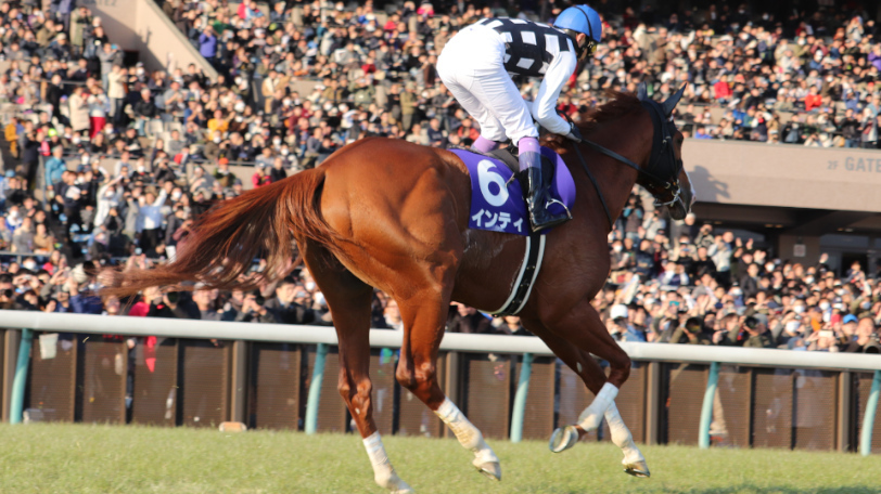 【チャンピオンズC】クリソベリルは8枠でも問題なし 不利なデータを乗り越えられる理由とは?【動画あり】