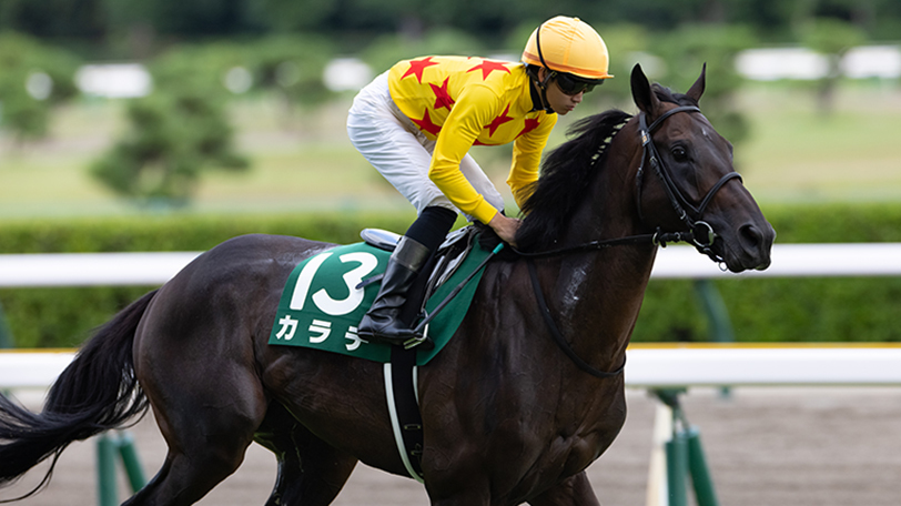 東京新聞杯】ファインルージュvsカラテ！ 春のマイルGⅠへ負けられない戦い【動画あり】｜競馬×AI×データ分析【SPAIA競馬】