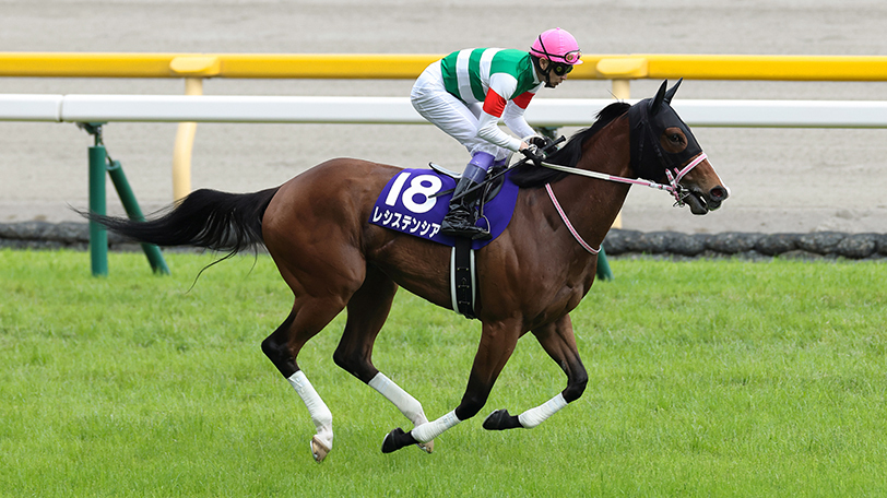 【高松宮記念】危険な人気馬多数!? メイケイエールら出走の電撃戦をデータで占う【動画あり】