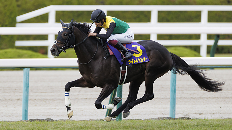 全3色/黒/赤/ベージュ 競馬 JRA 天皇賞春 タイトルホルダー ポスター