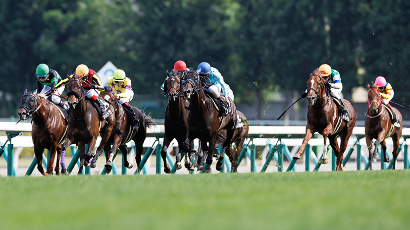 札幌2歳S・小倉2歳S】素質馬集結！ デビュー2戦の内容光る伏兵に注目【動画あり】｜競馬×AI×データ分析【SPAIA競馬】