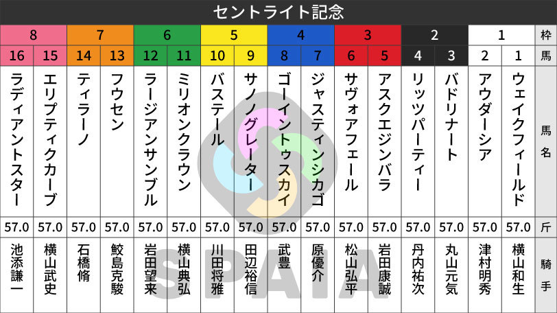 【セントライト記念枠順】青葉賞の勝ち馬ゴーイントゥスカイは4枠8番 ダービー3着馬バステールは5枠10番