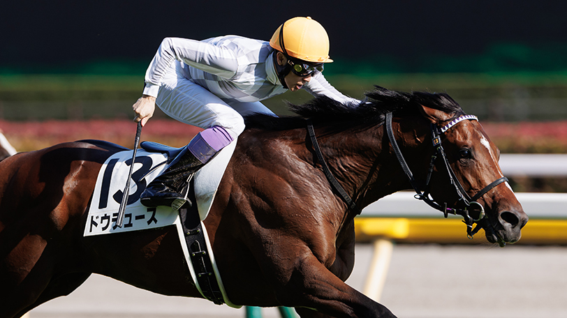 AI予想回顧】武豊騎手騎乗のドウデュースがダービー制覇 3重賞のKAIBA本命馬の結果は｜競馬×AI×データ分析【SPAIA競馬】