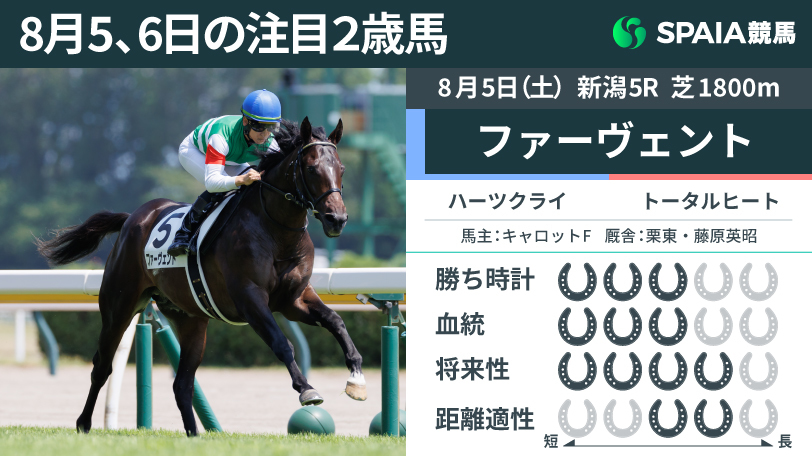 注目2歳馬】ファーヴェントがラスト2Fで突き抜ける 最終世代の