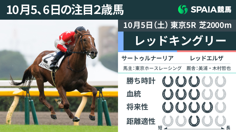 【注目2歳馬】若さのぞかせながらもラスト11.3-11.2の加速ラップ　サートゥルナーリア産駒レッドキングリーが4馬身差V