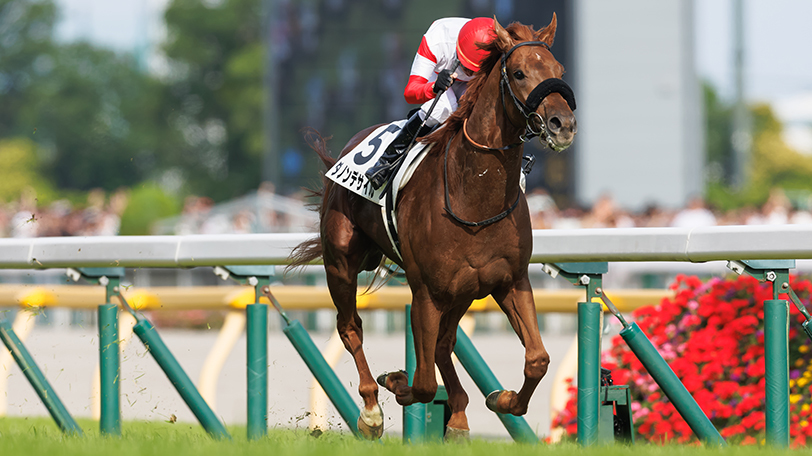 【AJCC】ダービー馬ダノンデサイルが始動　データからは複勝率62.5%の中日新聞杯組が見逃せない