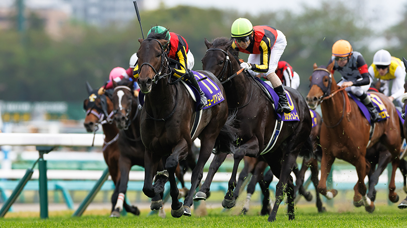 画像が削除されました