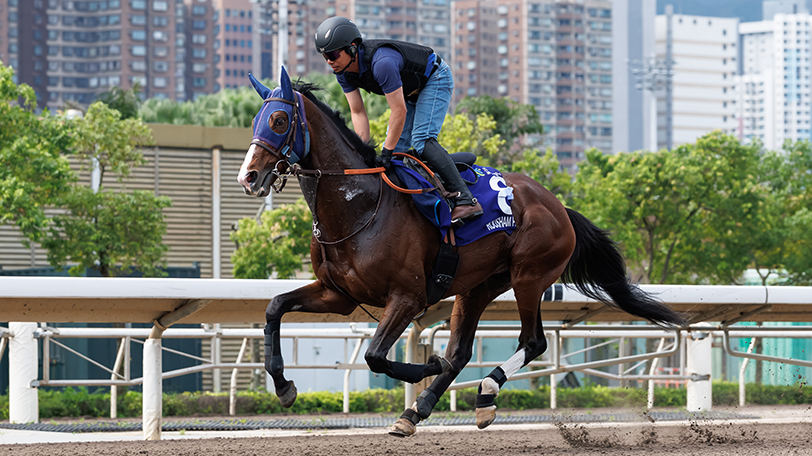 【チャンピオンズ&チャターC】ローシャムパークは時間をかけて入念なキャンターを披露 日本調教馬2頭がオールウェザーコースで最終調整