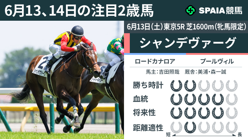 【注目2歳馬】ロードカナロア産駒シャンデヴァーグ 超スローペースもラスト11.0-10.9を差し切り