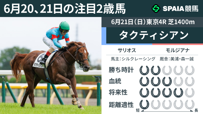 【注目2歳馬】サリオス産駒タクティシアン ピッチ走法からラスト10.9-10.8の瞬発力で勝利