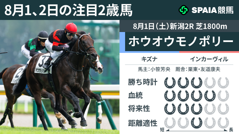 【注目2歳馬】キズナ産駒ホウオウモノポリー ラストは失速も2番手から押し切る