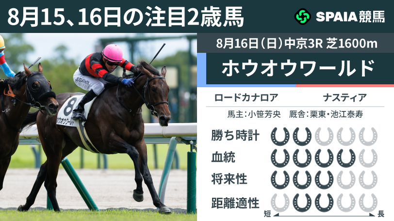 【注目2歳馬】ロードカナロア産駒ホウオウワールド 接戦で光った集中力と勝負根性