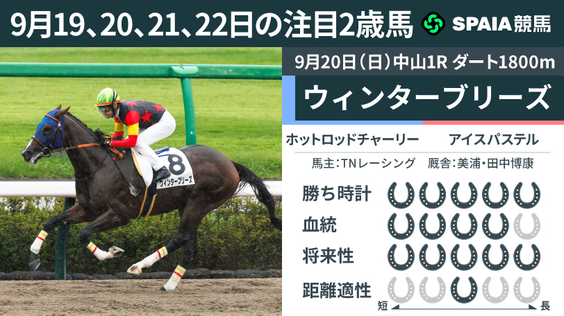 【注目2歳馬】ホットロッドチャーリー産駒ウィンターブリーズ ダートで真価発揮、馬なりのままレコードV