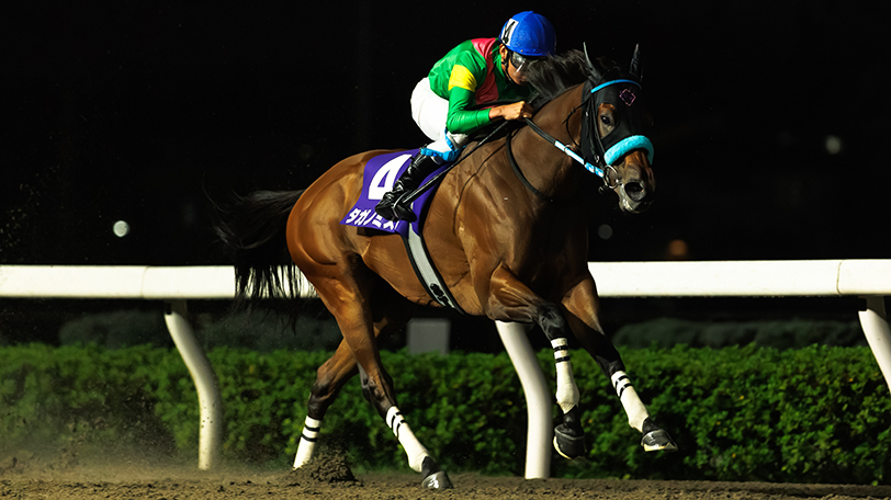 【オーバルスプリント回顧】3連勝で充実一途のタガノミスト スピードを活かして2馬身差で逃げ切り