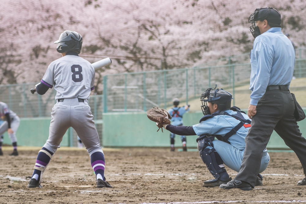 高校 野球 春季 奈良 大会 県