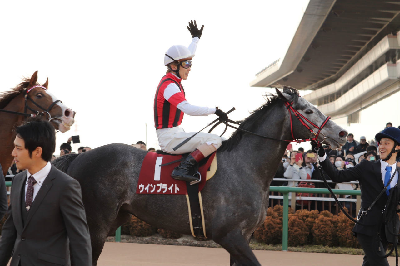 ウインブライト