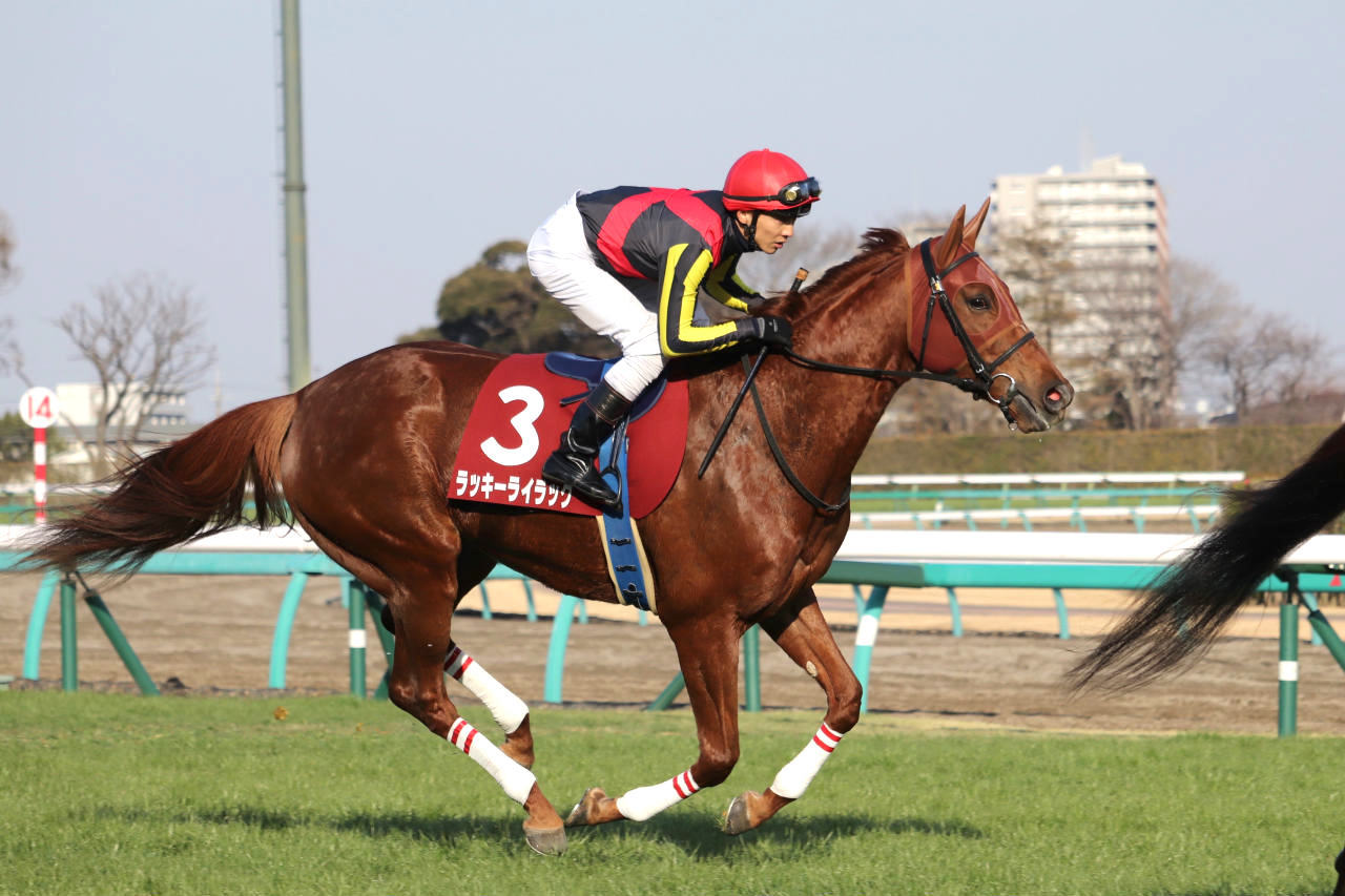 ラッキーライラック