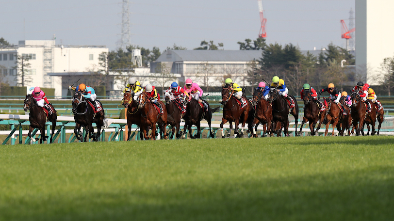 【チューリップ賞】桜花賞前哨戦がいよいよ開幕 馬券的に狙うなら相手に前走2着馬を!
