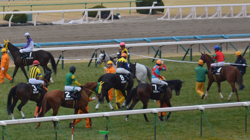 【チューリップ賞】波乱が起きにくい桜花賞への王道路線