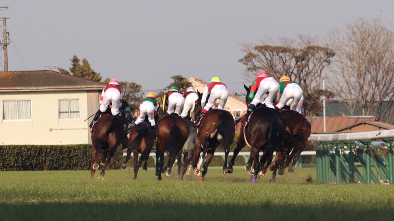 紛れの多いフィリーズレビュー 阪神JF組が巻き返してくる理由とは?