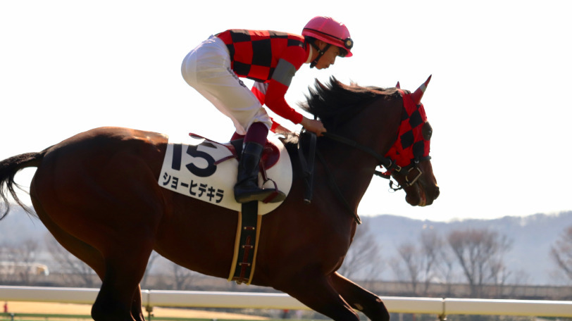【NZT】大穴・ショーヒデキラの激走に期待 野中騎手の成績にも注目