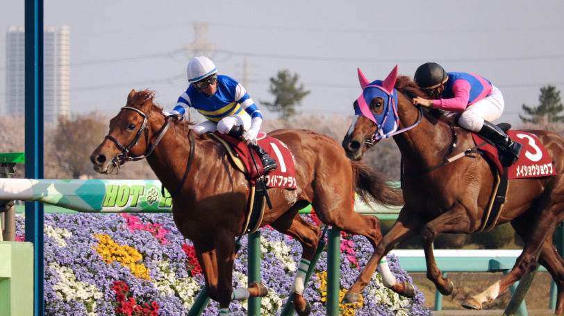 ニュージーランドTはワイドファラオがV ウオッカの縁がつないだドラマ