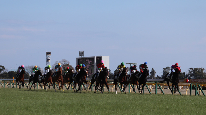 競馬　有力馬情報　後ろに競馬場のデータ付き 競馬 有力馬情報 後ろに競馬場のデータ付き セザンワールド