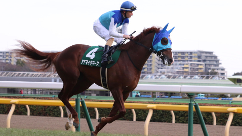 【NHKマイルC】1月産まれのグランアレグリアは黄色信号? 狙うはデータから導き出された4頭