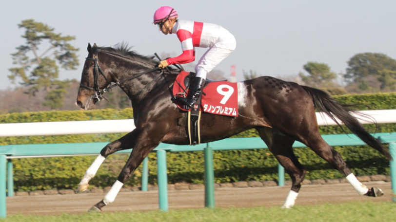 【安田記念】馬場が合うのはダノンプレミアム? アーモンドアイに死角はあるのか