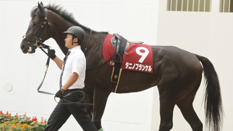 鳴尾記念を馬場傾向から分析 上がりがかかっても持ち時計が速い馬を狙え