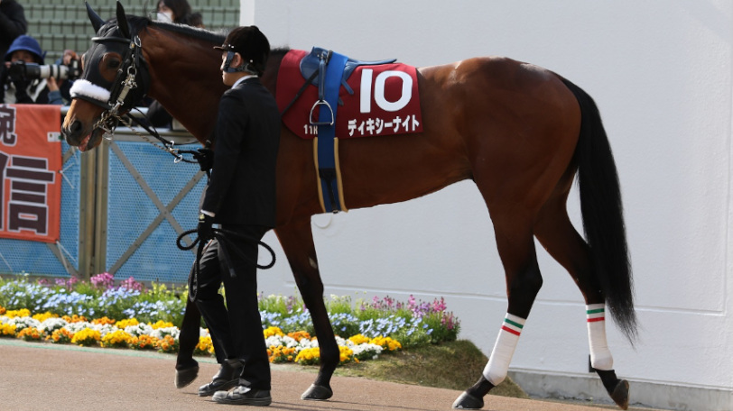 平均上がりは34.9 ラジオNIKKEI賞の馬場に合うのはどの馬か?