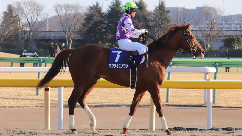 【プロキオンS】中京のダート1400mは腹をくくった差し馬に注目