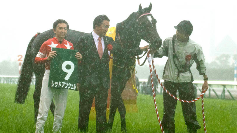 CBC賞は◎のセイウンコウセイ3着も… 先週のレースをSPAIA予想陣の結果とともに振り返る