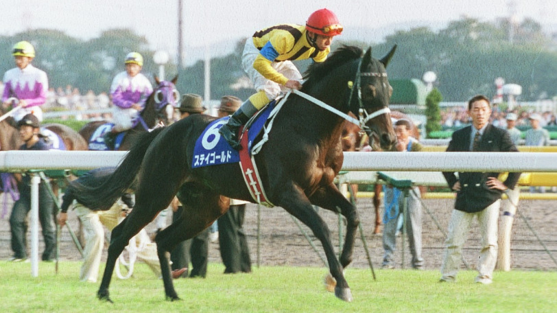 ステイゴールド フジキセキなど 国内のgiを勝ったサンデーサイレンス産駒の種牡馬たち 1992 1994年産 競馬 Ai データ分析 Spaia Ai競馬