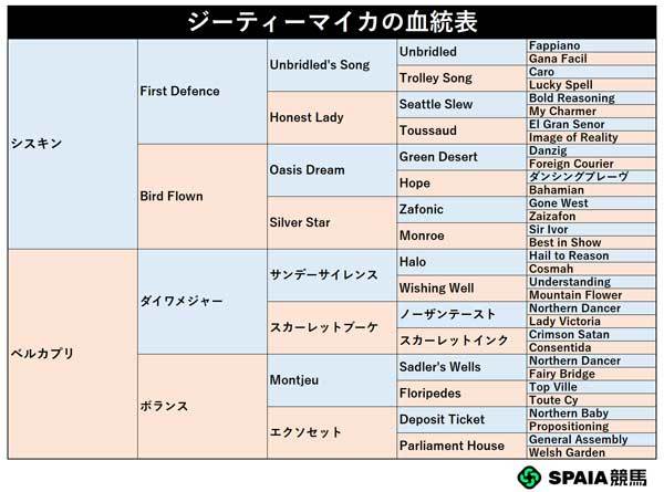 ジーティーマイカの血統表,ⒸSPAIA