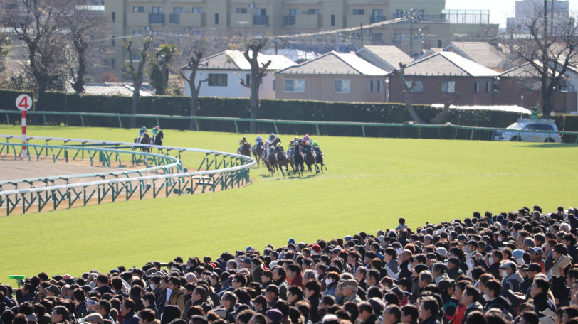 競馬場,Ⓒ三木俊幸