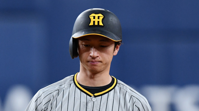 渡邉知晃 official site | 渡邉知晃公式ホームページ