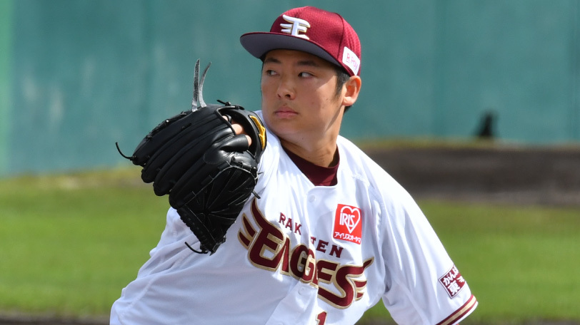 上質風合い NPBバット なぜソフトボールからプロ野球へ？日本ハムの