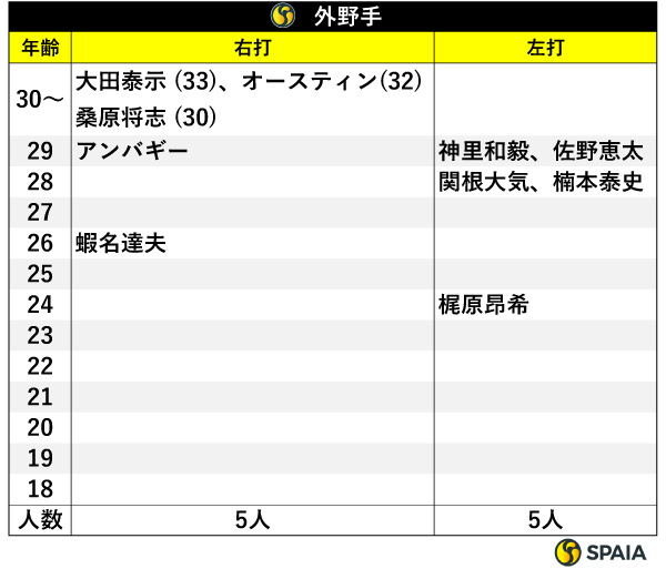 外野手,ⒸSPAIA