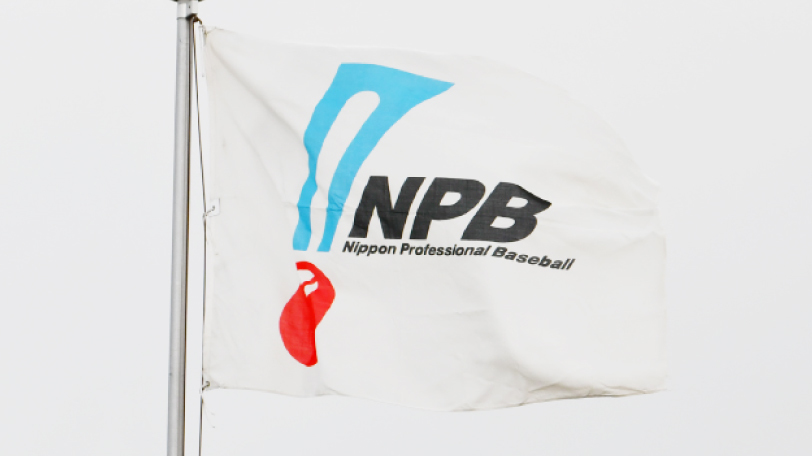 NPB旗 