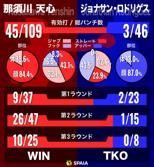 那須川天心のロドリゲス戦インフォグラフィック