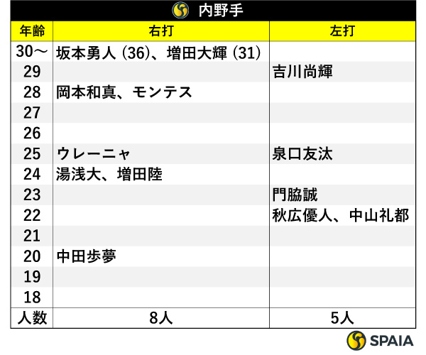 内野手,ⒸSPAIA